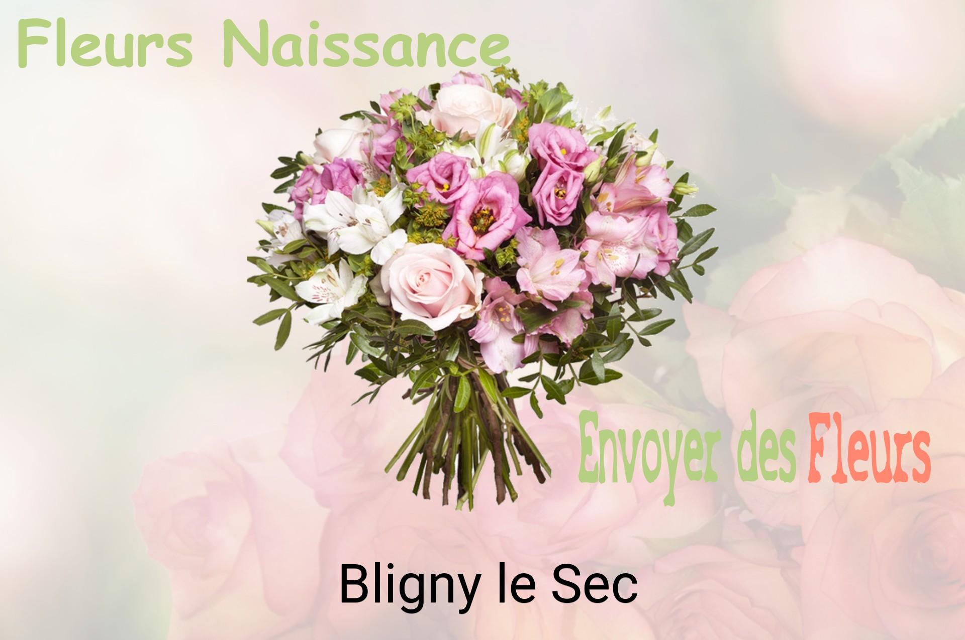 Bouquet de fleurs de naissance livré à Bligny-le-Sec